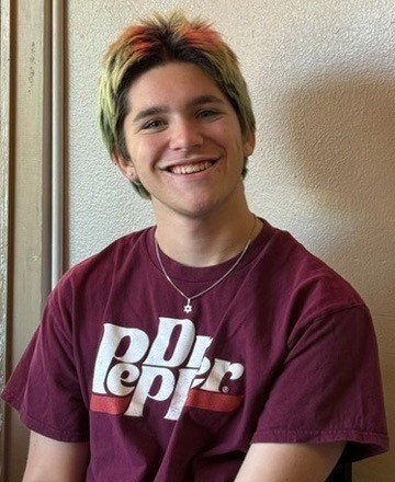 Theodore Roebling Lipstein